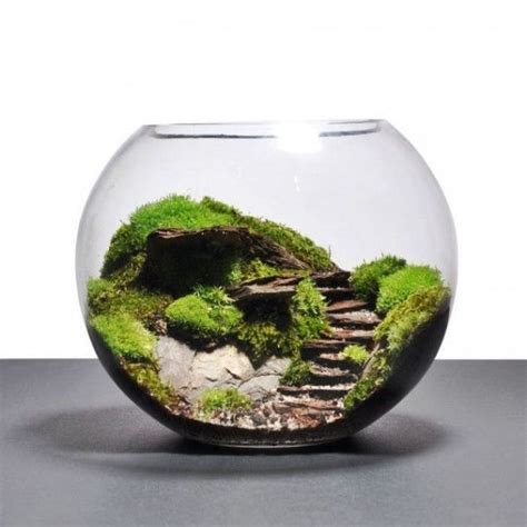 Ideas Para Hacer Un Terrario En Casa Miniature Garden Succulent