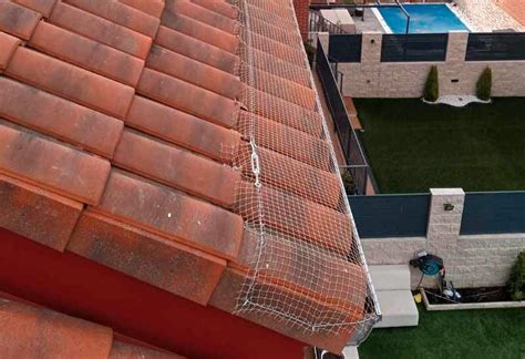 Protección de canalones con red anti pájaros en chalets en Parla