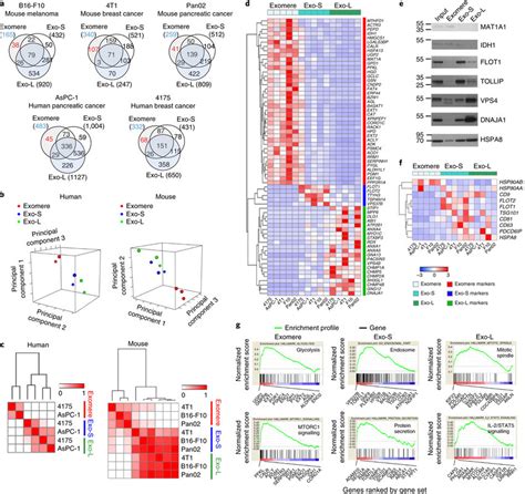 Proteomic Profiling Of Exomeres And Exosome Subpopulations Derived From