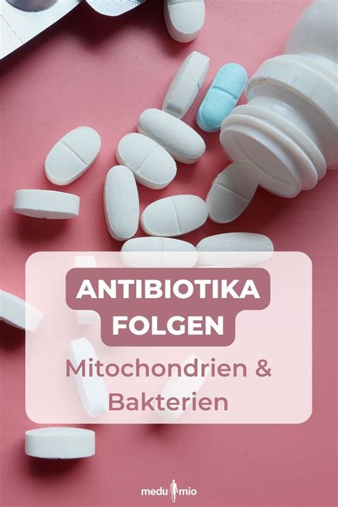 Bestimmte Antibiotika K Nnen Auch In Zellen Gelangen Was Mitochondrien