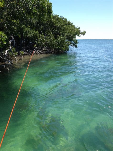 Fishing the Marquesas Keys in Florida - SkyAboveUs