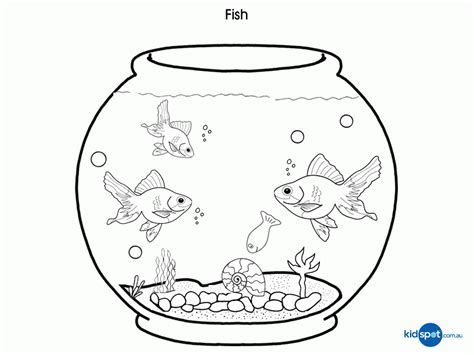 Real Fish Coloring Pages Coloring Home