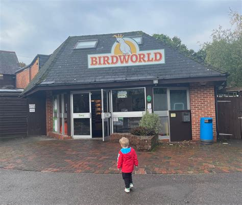 Birdworld Surrey Days Out Review Red Kite Days