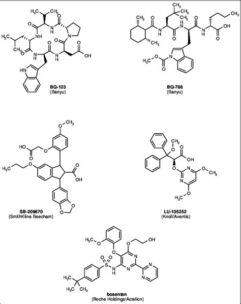 Endothelin Receptor Antagonists Download Scientific Diagram