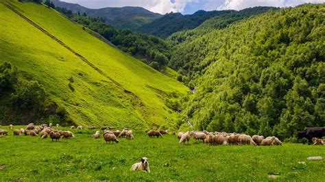 Gruzja Wycieczki Objazdowe I Pobytowe Tamada Tour Strona 3 Z 7