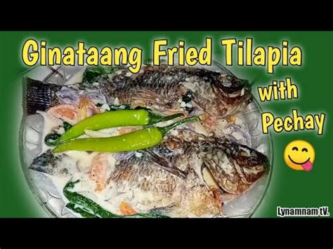 GINATAANG FRIED TILAPIA WITH PECHAY HOW TO COOK FRIED TILAPIA IN