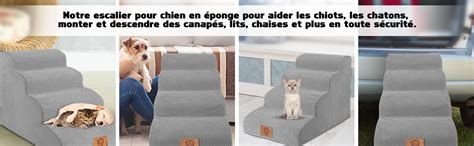 Myiosus Escalier Pour Chien Marches En Mousse Rampe Pour Chiens Avec