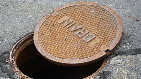 Florida Woman Sued For Putting Concrete In Storm Drain Wtsp