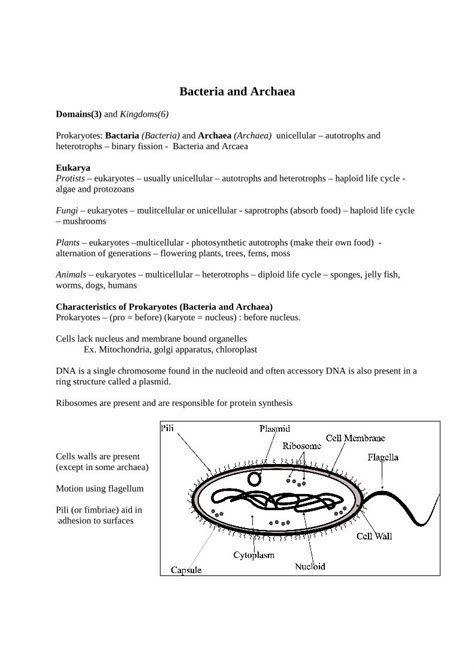 Pdf Bacteria And Archaea€¦ · Reproduction No Sexual Reproduction Binary Fission Occurs Dna