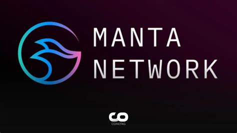 What Is Manta Network MANTA And How To Buy MANTA COINOTAG NEWS