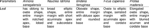 Leaf morphological features of the selected plants. | Download ... 