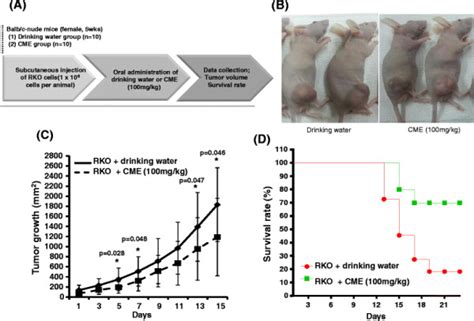 Anti Cancer Effect Of Cordyceps Militaris In A Xenograft Mouse Bearing