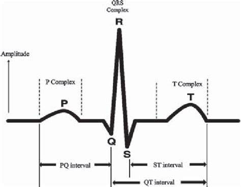 5 Different Components Of One Ideal Ecg Cycle Download Scientific Diagram