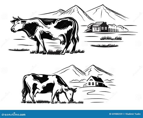 Cow And Farm Stock Vector - Image: 69988259