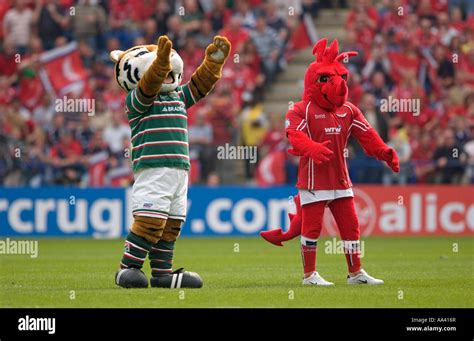 Llanelli scarlets mascot hi-res stock photography and images - Alamy