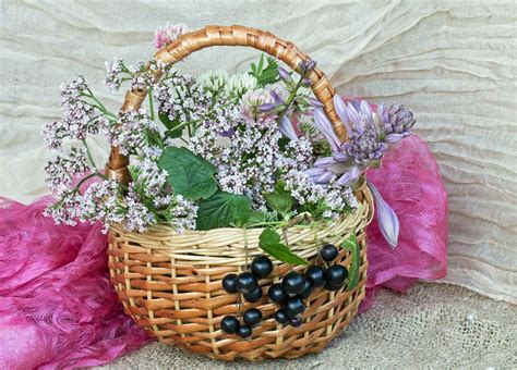 Easter 2023 – Floral Garlands Made With Dried Or Fresh Flowers! | My Decorative