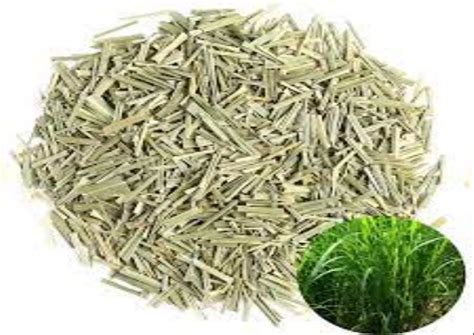 Green Dried Leaf Lemongrass Leaves Dry Packaging Type Packet