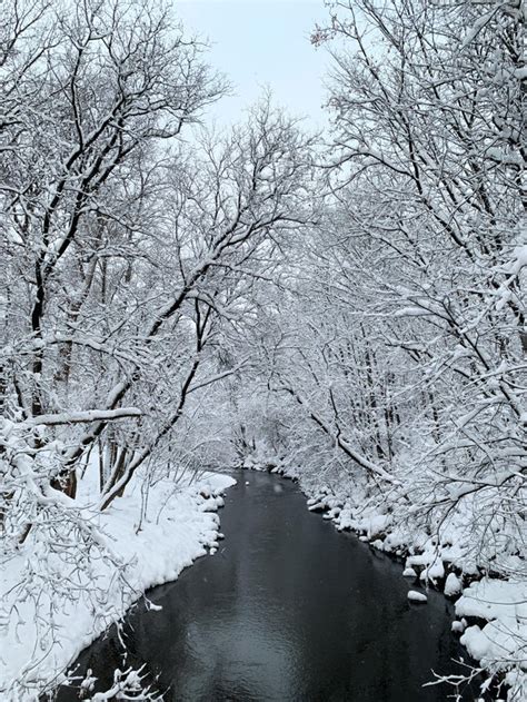 [OC] Snowy Uetliberg in Zurich, Switzerland : r/winterporn