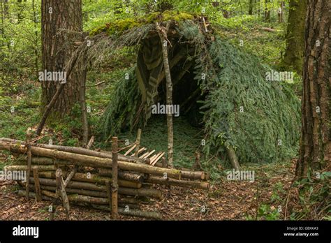 Survival shelter and survivor concept. A-frame shelter construction shelter with log fire ...