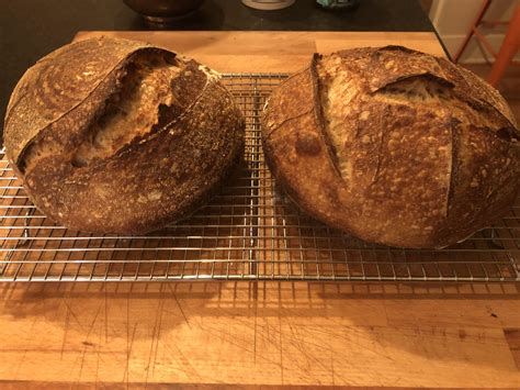 I’m pleased with the blisters and ears. I need to step up my lame game