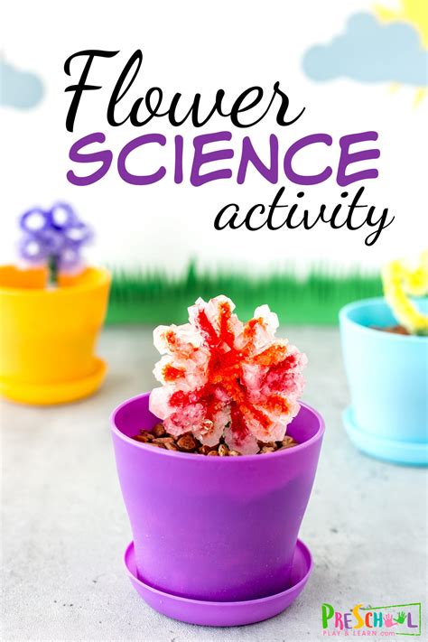 Fun Science Experiments Pollination Science Experiments Plant