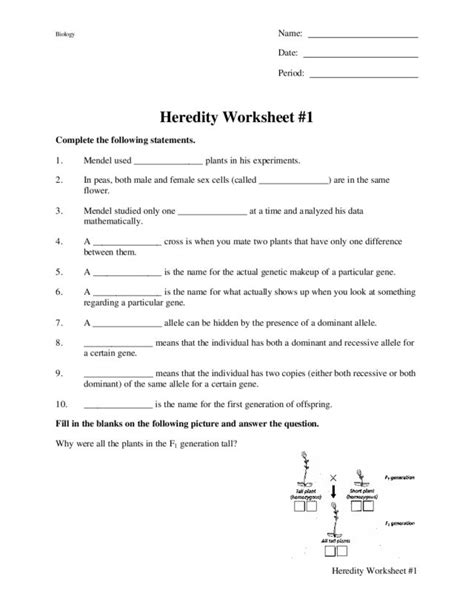 Heredity Worksheet #1 Worksheet for 9th - 12th Grade | Lesson Planet