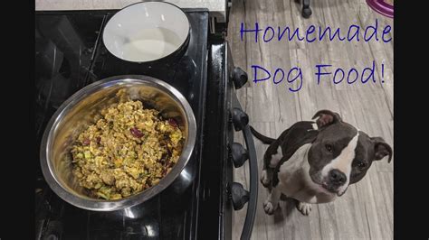 Diy Home Cooked Dog Food Recipe Made By A Registered Nurse