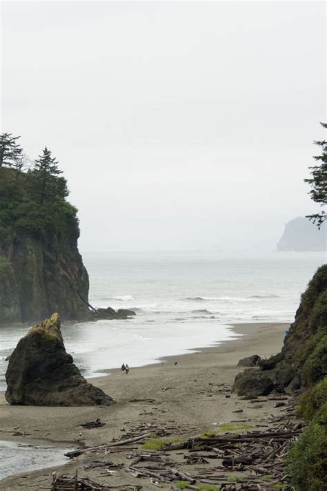 Pin By Michel Perot On Foret In Washington Travel Rialto Beach