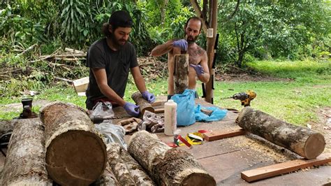 Natural Log Cultivation Of Shiitake Mushrooms In The Tropics Rancho