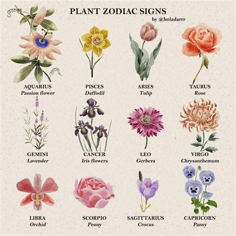 Botanical Illustration On Instagram Las Flores De Tu Signo Zodiacal