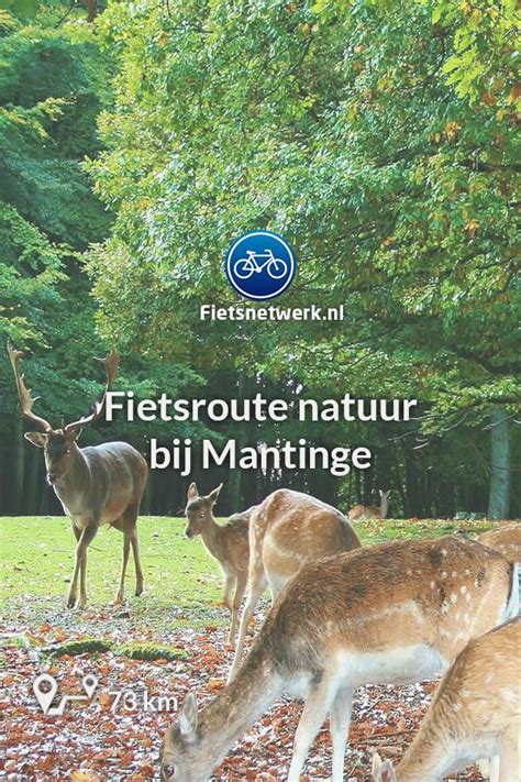 Fietsroute Natuur Bij Mantinge Fietstochten Fiets Tips Natuur