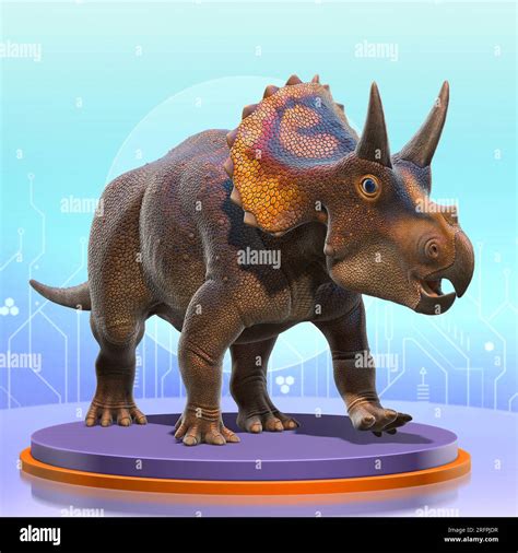 Babytriceratops Hi Res Stock Photography And Images Alamy