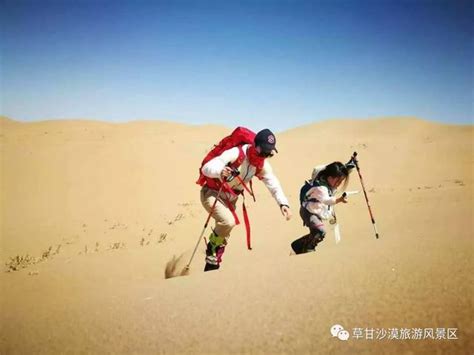 游弋沙海 縱享自由草甘沙漠 每日頭條