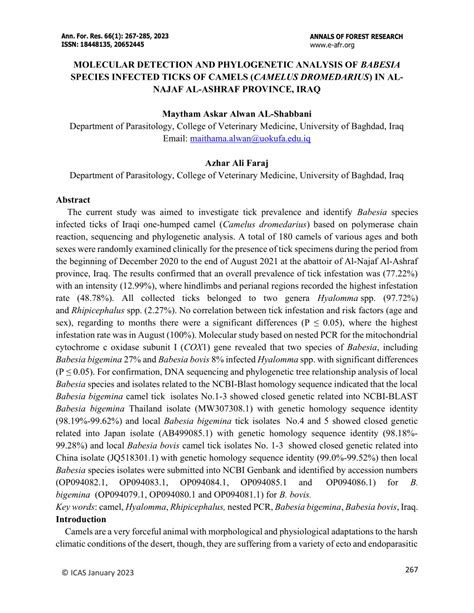 PDF MOLECULAR DETECTION AND PHYLOGENETIC ANALYSIS OF BABESIA SPECIES