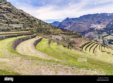 View At The Agriculture Inca Plants Farming Terraces At Archeological