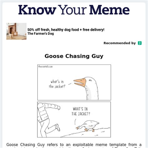 Goose Chasing Guy - Know Your Meme