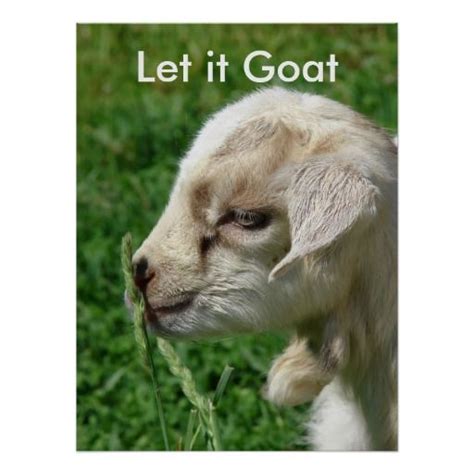 Funny Goat Parody, Cute Goat Kid Poster | Zazzle | Cute goats, Goats ...