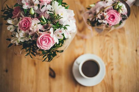 Hd Wallpaper Closeup Photography Pink And White Petaled Flowers