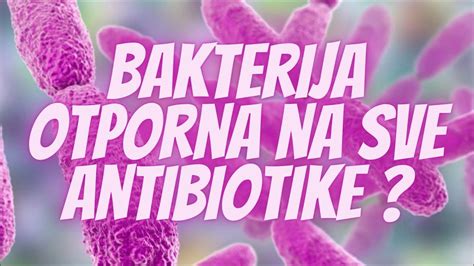 Otkrivena Bakterija Otporna Na Sve Antibiotike YouTube