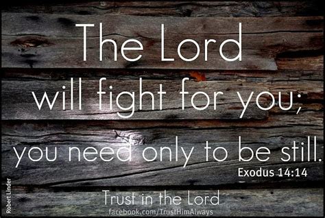 The Lord Will Fight For You You Need Only To Be Still Exodus Quotes