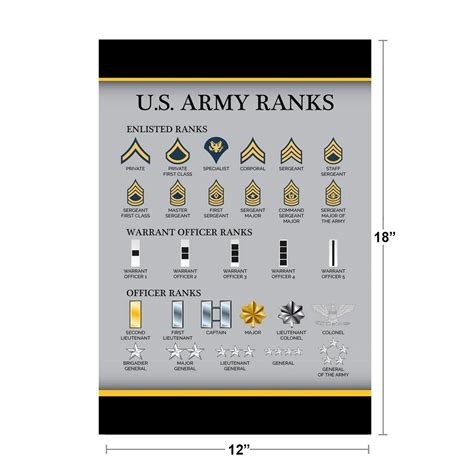 Laminated United States Army Rank Chart Reference Enlisted Officer NCO Guide American Military ...