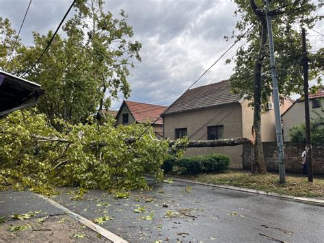 Nevreme Usled Pada Stabla Poginula Ena U Somboru U N Pazaru Vanredno