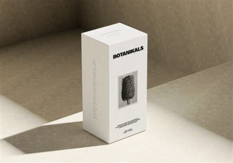 Cosmetic Packaging Box Mockup - Mockup World