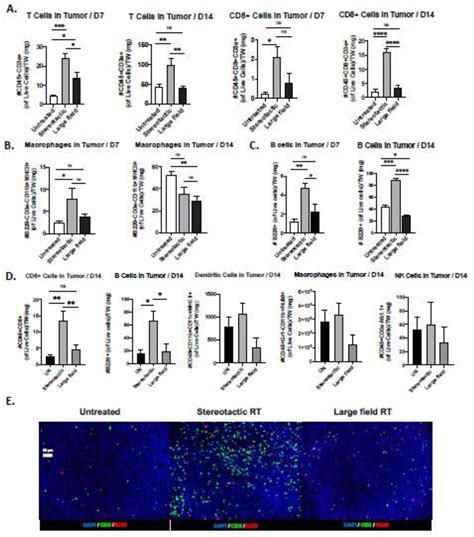 Mc Mouse Colon Carcinoma Cell Line Atcc Bioz