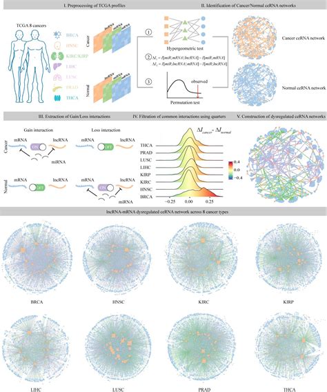 Frontiers The Functional Characterization Of Epigenetically Related