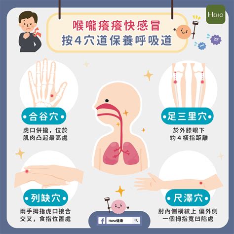 喉嚨癢快感冒？按4穴道保養呼吸道、增強免疫力｜健康知識｜新聞｜元氣網