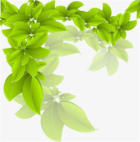 Leave Clipart Png Images Vector Leaves Leaves Green Branches Png