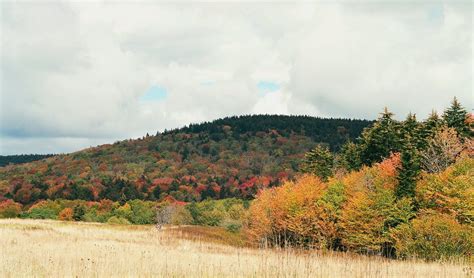 It’s Leaf Peeping Time! Getting Out and Enjoying the Colors of Fall in ...