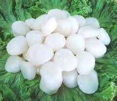 scallop roe    kg ocean champian dubbo meat centre