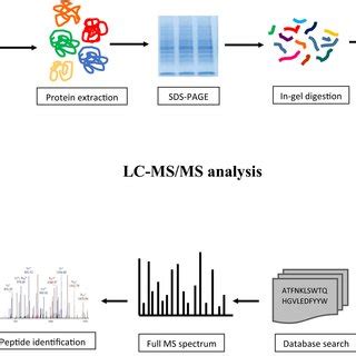 Lcms Schematic